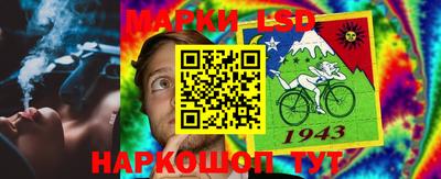 индика Можайск