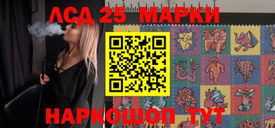 индика Можайск