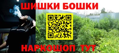 индика Можайск