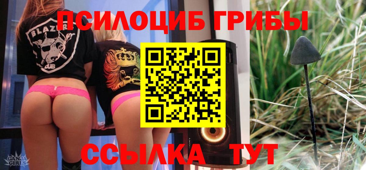 APVP СК   ГАШ  Ухта  КОКАИН  Меф МЯУ МЯУ   Вход с VPN  LSD-25  Купить закладку  Бошки Шишки  ЭКСТАЗИ 